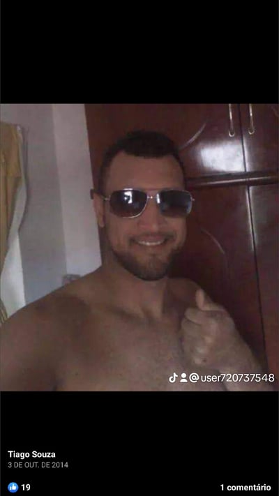Gato selvagem  em Praia Grande