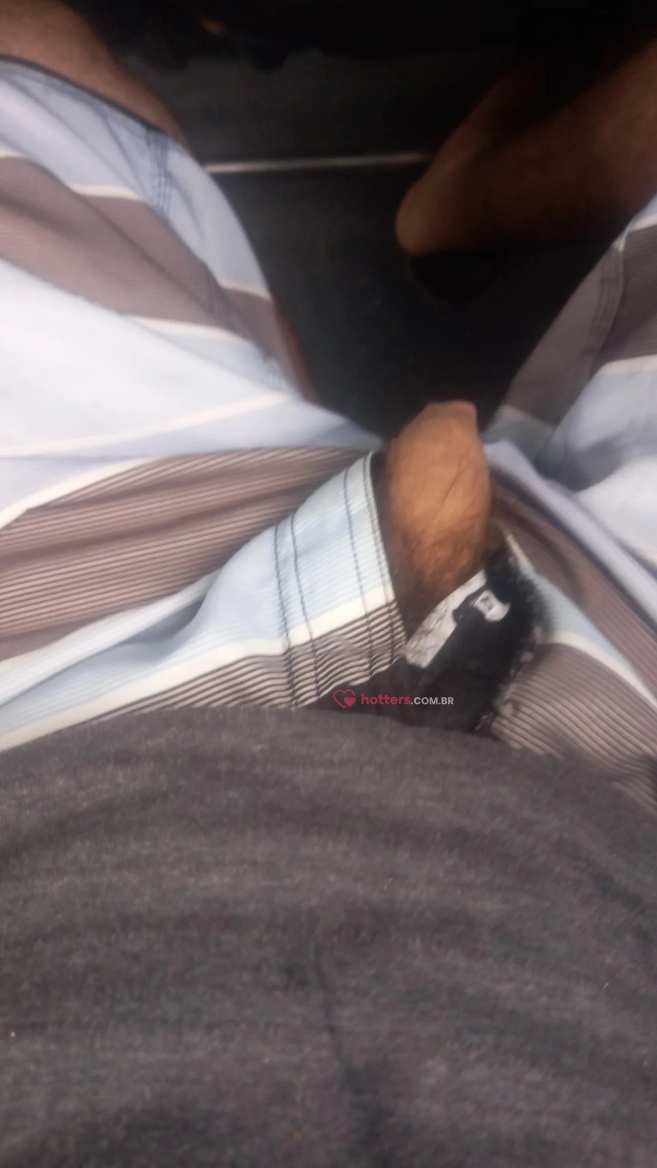 Passivo Pig Peludo
