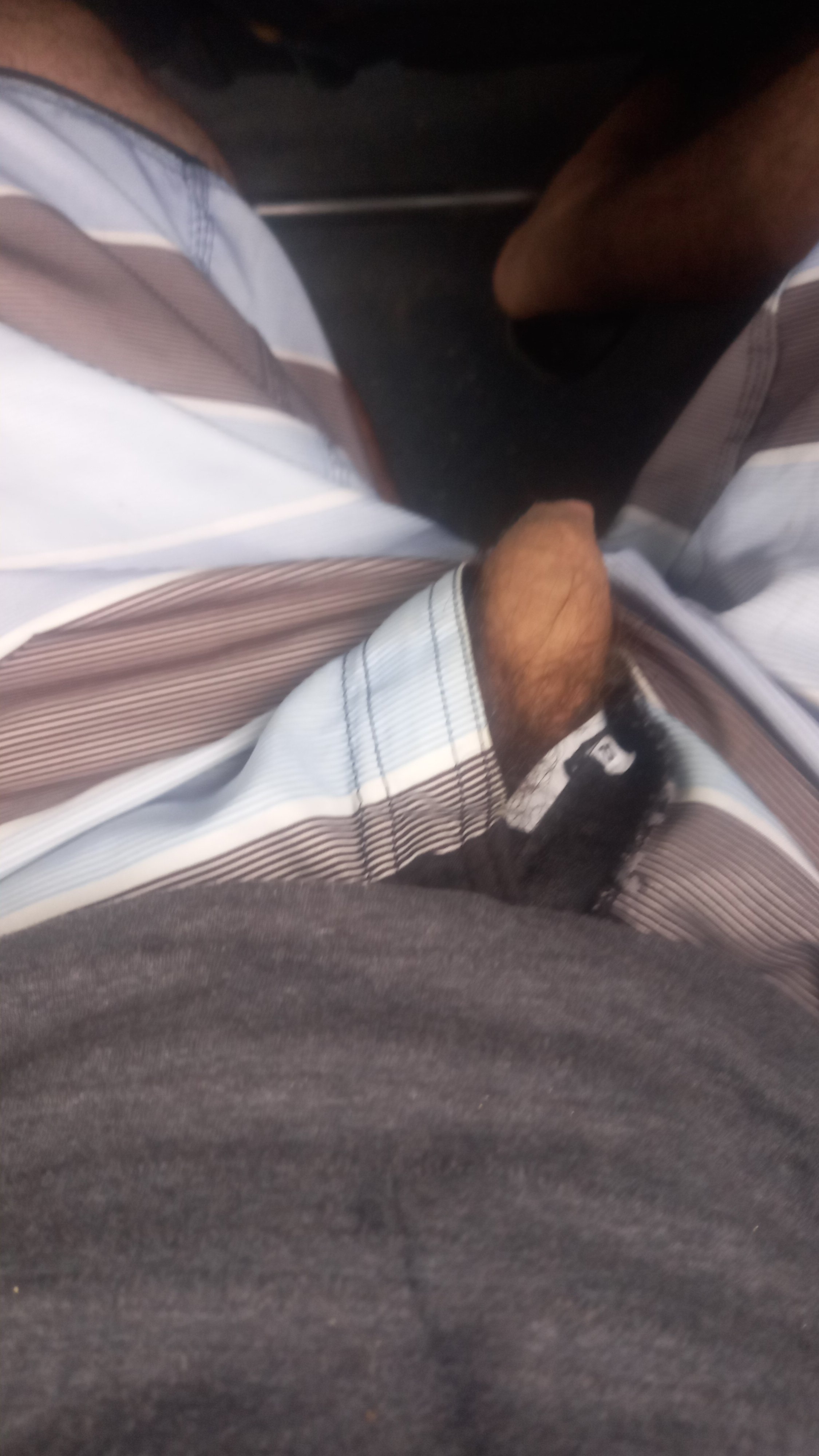 Passivo Pig Peludo